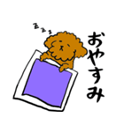 かわいい トイプードル プリン先生（個別スタンプ：6）