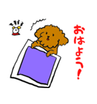 かわいい トイプードル プリン先生（個別スタンプ：7）