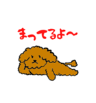かわいい トイプードル プリン先生（個別スタンプ：8）