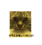 くぅの気持ち♭（個別スタンプ：4）