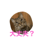 くぅの気持ち♭（個別スタンプ：5）
