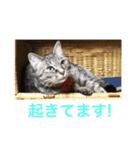 くぅの気持ち♭（個別スタンプ：8）