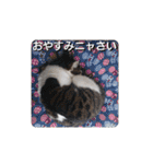 nyan・nyanツンデレ 次世代モデルきらら嬢S（個別スタンプ：38）