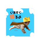 ペータと一緒2（個別スタンプ：1）