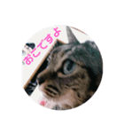 うるるんスタンプ2（個別スタンプ：1）