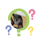 うるるんスタンプ2（個別スタンプ：6）