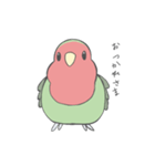 コザクラインコのこふく（個別スタンプ：1）