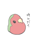 コザクラインコのこふく（個別スタンプ：3）