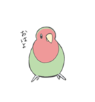 コザクラインコのこふく（個別スタンプ：5）