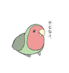 コザクラインコのこふく（個別スタンプ：7）