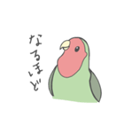 コザクラインコのこふく（個別スタンプ：14）