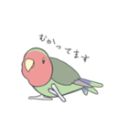 コザクラインコのこふく（個別スタンプ：18）