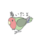 コザクラインコのこふく（個別スタンプ：19）