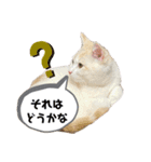 ジジ Part.2（個別スタンプ：4）