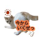 ジジ Part.2（個別スタンプ：6）