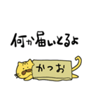 かぎしっぽ猫 茶トラのタロウ 1（個別スタンプ：23）