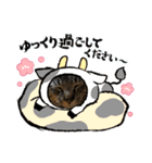 猫のキャベツ君のスタンプ（個別スタンプ：3）