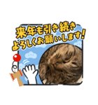 猫のキャベツ君のスタンプ（個別スタンプ：4）