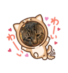 猫のキャベツ君のスタンプ（個別スタンプ：5）