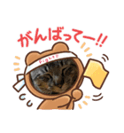 猫のキャベツ君のスタンプ（個別スタンプ：6）