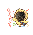 猫のキャベツ君のスタンプ（個別スタンプ：7）