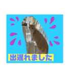 猫から挨拶（個別スタンプ：7）