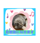 猫から挨拶（個別スタンプ：18）