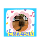 猫から挨拶（個別スタンプ：23）