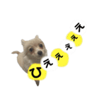 鈴木家の小次郎くん（個別スタンプ：8）