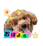 まぁるんるんるんスタンプ（個別スタンプ：1）