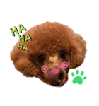 まぁるんるんるんスタンプ（個別スタンプ：3）