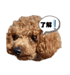 まぁるんるんるんスタンプ（個別スタンプ：4）