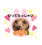 まぁるんるんるんスタンプ（個別スタンプ：8）