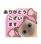 ねこばんざい 日常会話（個別スタンプ：2）