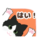 ねこばんざい 日常会話（個別スタンプ：5）