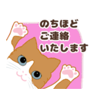 ねこばんざい 日常会話（個別スタンプ：11）