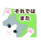 ねこばんざい 日常会話（個別スタンプ：17）