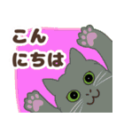 ねこばんざい 日常会話（個別スタンプ：18）