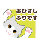 ねこばんざい 日常会話（個別スタンプ：19）