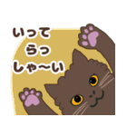 ねこばんざい 日常会話（個別スタンプ：22）