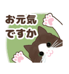 ねこばんざい 日常会話（個別スタンプ：24）