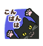 ねこばんざい 日常会話（個別スタンプ：29）