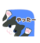 ねこばんざい 日常会話（個別スタンプ：30）