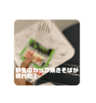 ばり使いやすいオブジアース（個別スタンプ：34）