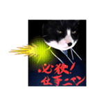 ミー介で候 其二（個別スタンプ：1）