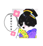 ミー介で候 其二（個別スタンプ：2）