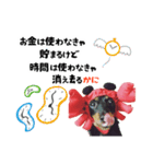 ミニチュアダックスのゆるっとラッキー④（個別スタンプ：2）