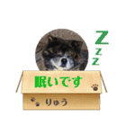 りゅうの気持ち（秋田犬）パート9（個別スタンプ：18）