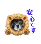 りゅうの気持ち（秋田犬）パート9（個別スタンプ：29）