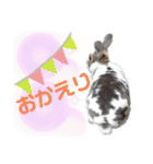 MINIREXのぱぴぷぺぽ＋（個別スタンプ：13）
